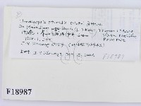 登錄號:F0018987藏品圖，第2張