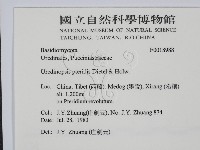 館號:F0018988藏品圖，第2張
