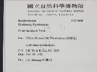 登錄號:F0018989藏品圖，第2張