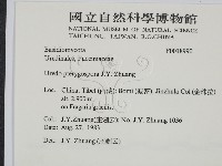 登錄號:F0018990藏品圖，第2張