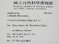 登錄號:F0018991藏品圖，第2張