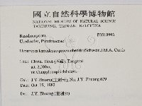登錄號:F0018993藏品圖，第2張