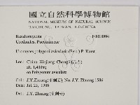 登錄號:F0018994藏品圖，第2張