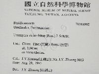 登錄號:F0018995藏品圖，第2張