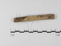 登錄號:F0018997藏品圖，第1張