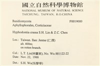 登錄號:F0019000藏品圖，第2張