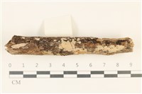 登錄號:F0019000藏品圖，第1張