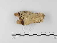 登錄號:F0019002藏品圖，第1張