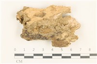 登錄號:F0019004藏品圖，第1張