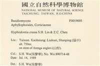 登錄號:F0019005藏品圖，第2張