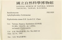 登錄號:F0019009藏品圖，第2張