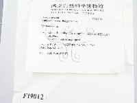 登錄號:F0019012藏品圖，第2張