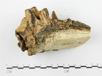 登錄號:F0019012藏品圖，第5張