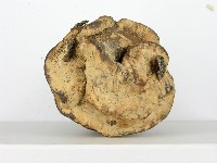 登錄號:F0019012藏品圖，第6張