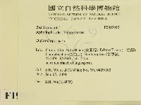 登錄號:F0019013藏品圖，第2張
