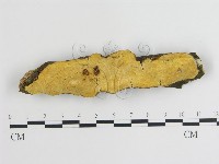 登錄號:F0019013藏品圖，第1張