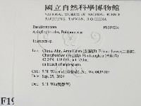 栓菌屬藏品圖，第2張