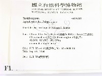 登錄號:F0019016藏品圖，第2張