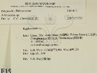 登錄號:F0019017藏品圖，第1張