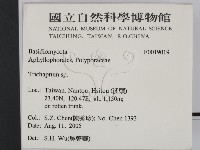 附毛菌屬藏品圖，第2張