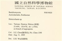 刺皮菌屬藏品圖，第2張