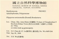 登錄號:F0019023藏品圖，第2張