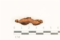 登錄號:F0019023藏品圖，第1張