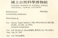 刺皮菌屬藏品圖，第2張