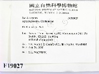 登錄號:F0019027藏品圖，第2張
