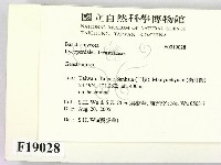 地星屬藏品圖，第2張