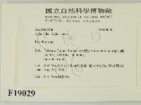 登錄號:F0019029藏品圖，第2張