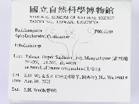 登錄號:F0019030藏品圖，第2張