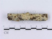 登錄號:F0019030藏品圖，第3張