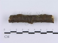 登錄號:F0019030藏品圖，第4張