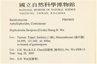 登錄號:F0019032藏品圖，第2張