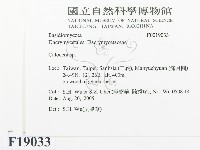 登錄號:F0019033藏品圖，第2張