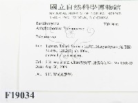 多孔菌屬藏品圖，第2張