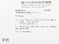 多孔菌屬藏品圖，第2張