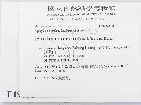 登錄號:F0019038藏品圖，第2張