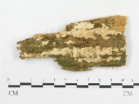 登錄號:F0019038藏品圖，第1張