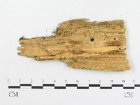 登錄號:F0019038藏品圖，第3張