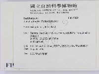 登錄號:F0019039藏品圖，第2張