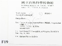 登錄號:F0019041藏品圖，第2張