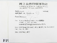 登錄號:F0019042藏品圖，第2張