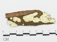 登錄號:F0019042藏品圖，第1張