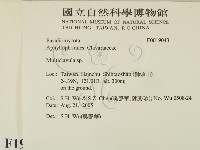 登錄號:F0019043藏品圖，第2張