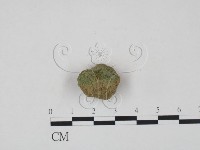 登錄號:F0019043藏品圖，第1張