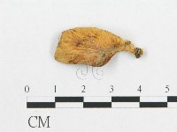 登錄號:F0019044藏品圖，第3張