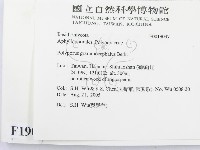 登錄號:F0019047藏品圖，第2張