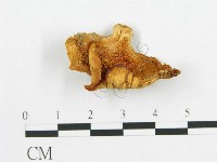 登錄號:F0019047藏品圖，第1張